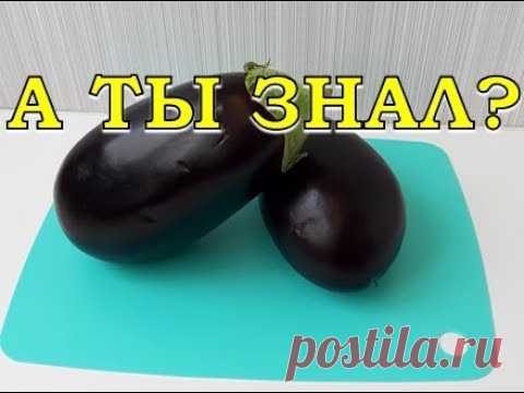 Выращиваем БАКЛАЖАНЫ: от посева до урожая🍆🍆🍆
