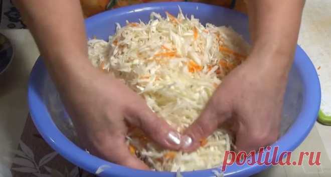 Вкусная и хрустящая квашеная капуста – классические рецепты на зиму