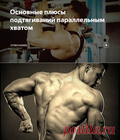 Основные плюсы подтягиваний параллельным хватом | fitnechannel | Яндекс Дзен