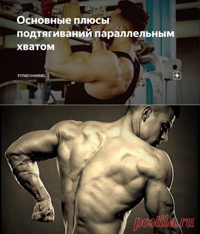 Основные плюсы подтягиваний параллельным хватом | fitnechannel | Яндекс Дзен