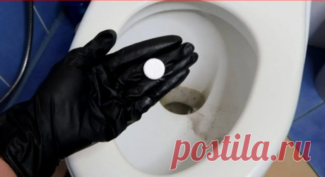 Добавляю аптечную шипучку в унитаз и от известкового налета не остается ни следа. Сантехника вся блестит и сияет | Elena France - Жизнь Сибирячки во Франции | Дзен