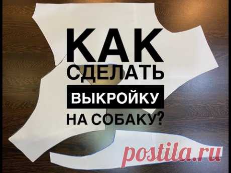 Как сделать выкройку на собаку?