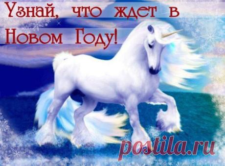 Что ждёт тебя в Новом Году