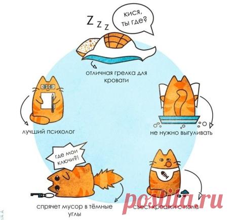 (12) Одноклассники