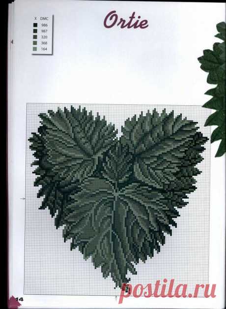 0_1448b6_cd826157_XXL.jpg (732×1000)