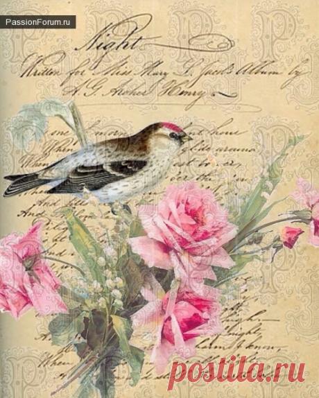Птички и прочая прелесть - запись пользователя Lenucaarchery (Лена) в сообществе Декупаж в категории Картинки для декупажа