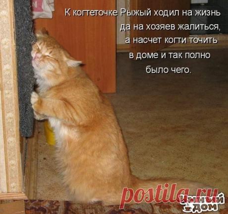 Фотографии на стене сообщества – 45 074 фотографии | ВКонтакте