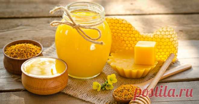 Чем полезны продукты пчеловодства: мед, перга, прополис, забрус, маточное молочко Как различать и для чего применять пчелопродукты.