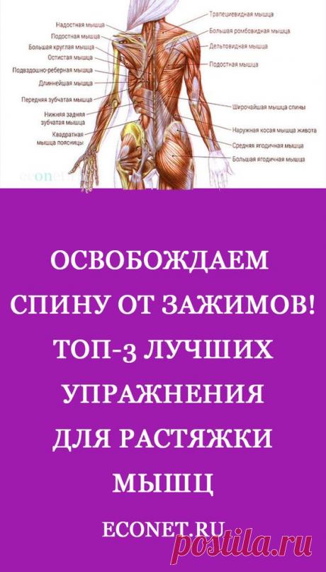 Освобождаем спину от зажимов! ТОП-3 лучших упражнения для растяжки мышц

✅РАСТЯЖКА спины необычайно важна по ряду причин. Во-первых, большинство людей ведут малоподвижный образ жизни и имеют сидячую работу. Это приводит к постоянному статическому напряжению мышц спины и шеи. Во-вторых, мышцы необходимо растягивать для улучшения циркуляции крови.