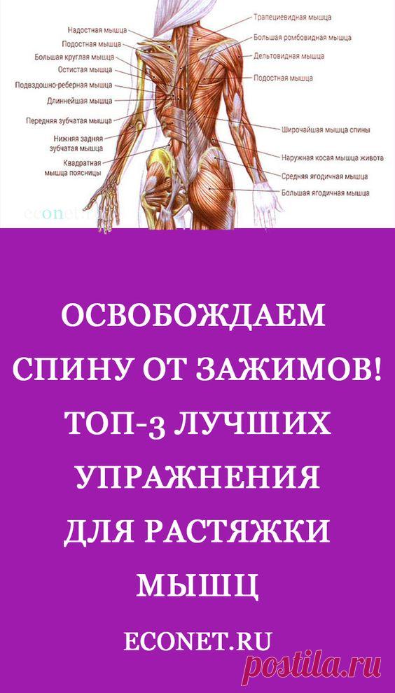 Освобождаем спину от зажимов! ТОП-3 лучших упражнения для растяжки мышц

✅РАСТЯЖКА спины необычайно важна по ряду причин. Во-первых, большинство людей ведут малоподвижный образ жизни и имеют сидячую работу. Это приводит к постоянному статическому напряжению мышц спины и шеи. Во-вторых, мышцы необходимо растягивать для улучшения циркуляции крови.