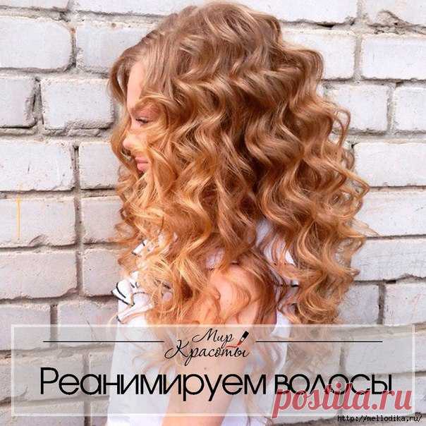 Эта маска действительно спасла многие шевелюры
