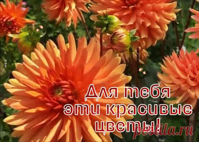 Чудесная картинка для тебя эти красивые цветы