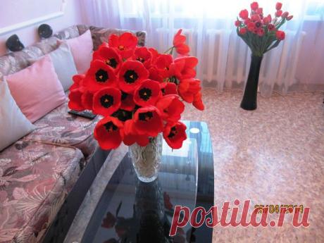 Сад своими руками(моя любимая дача)
Галина Нестеренко