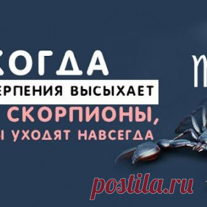 Когда океан терпения высыхает, Весы, Скорпионы, Стрельцы уходят навсегда - МирТесен