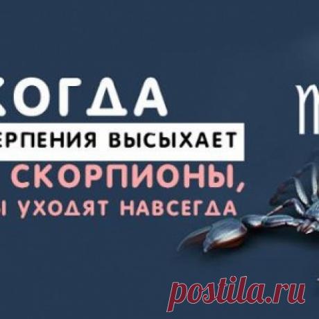 Когда океан терпения высыхает, Весы, Скорпионы, Стрельцы уходят навсегда - МирТесен