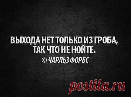 Фото приколы, фотошоп, демотиваторы