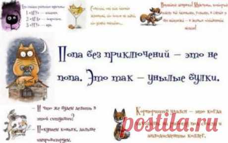 ХА-ХАтунчики))