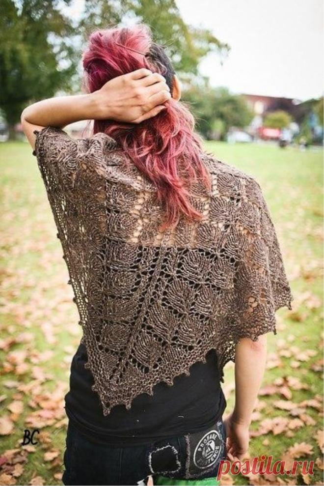 Shawl with a free pattern