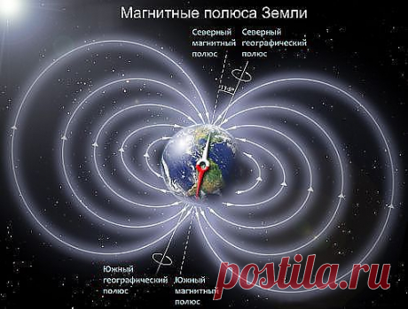 Наши новости -&quot;Новости экологии - Адам Малуф: сдвиг полюсов давно начал | лестницы