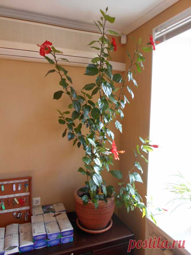 Умная система, приносящая 5000 рублей в день
Что такое умная система?
Это современное маркетинговое решение, позволяющие “превращать” посетителей  сайта в покупателей автоматически. 
Умная система продаёт сама, принимает платежи сама, отвечает на вопросы сама.
Ваша задача состоит лишь в том, чтобы контролировать процесс и снимать деньги с карточки.
Получить умную систему прямо сейчас:  Пишите: psa1960@ail.ru
                               С уважением, наша команда!