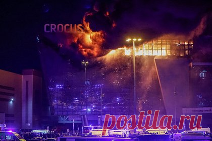 Женщина назвала своего спасителя во время теракта в «Крокусе»