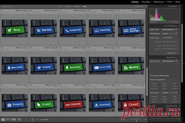 Микростоки. Полное руководство.: Синхронизация ключевых слов в Lightroom