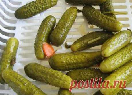 Рецепт соленых огурцов на зиму без уксуса - Огурцы на зиму . 1001 ЕДА вкусные рецепты с фото!