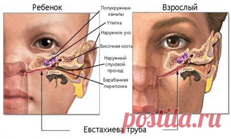 Промывание носа: польза и вред, консультация лор-врача клиники Вся Медицина