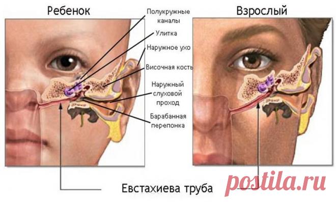 Промывание носа: польза и вред, консультация лор-врача клиники Вся Медицина