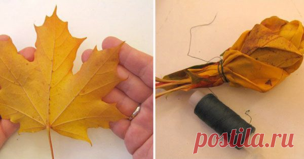 Поделки из осенних листьев своими руками