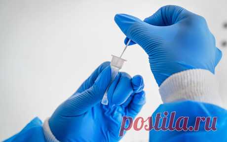 Новый штамм коронавируса «омикрон» обнаружили в Германии. В Германии выявили первый случай заражения новым омикрон-штаммом коронавируса, сообщил в Twitter-аккаунте министр по социальным вопросам земли Гессен Кай Клозе.