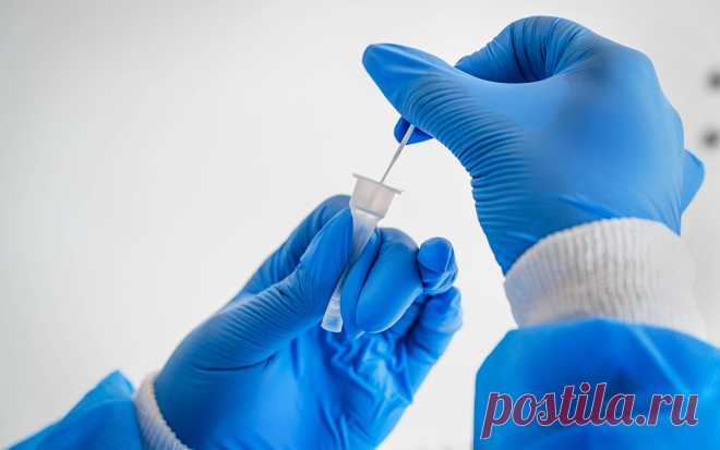 Новый штамм коронавируса «омикрон» обнаружили в Германии. В Германии выявили первый случай заражения новым омикрон-штаммом коронавируса, сообщил в Twitter-аккаунте министр по социальным вопросам земли Гессен Кай Клозе.