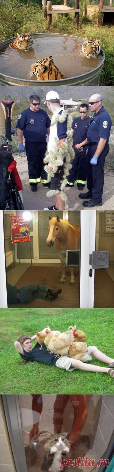 Самые странные фотографии в мире!