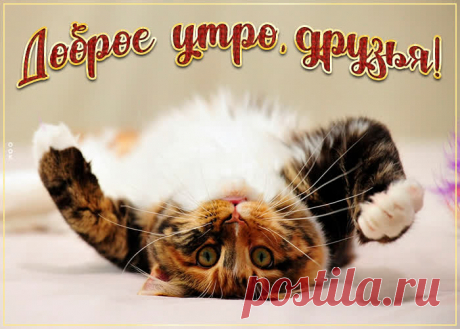 Веселая картинка доброе утро для друзей НАЖМИТЕ здесь, чтобы открыть