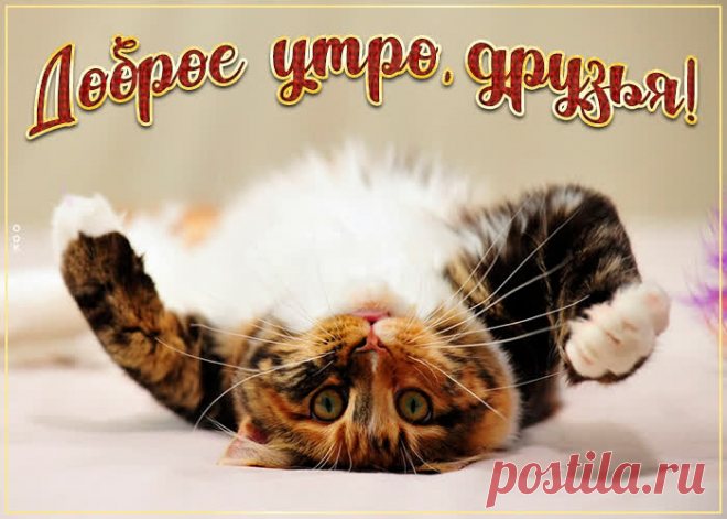 Веселая картинка доброе утро для друзей НАЖМИТЕ здесь, чтобы открыть