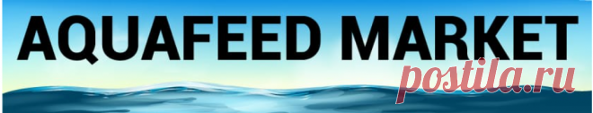 Aquafeed Market Trends, Growth, Share, Size and Forecast Research Report 2027

The global aquafeed market size is expected to reach USD 80.05 billion by 2027, exhibiting a CAGR of 5.3% during the forecast period.