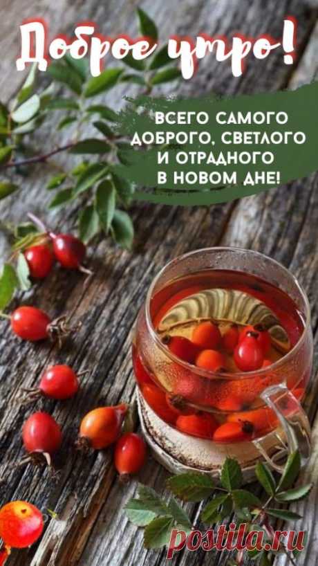 Доброе утро картинки красивые необычные нежные. 
Погрузитесь в атмосферу нежности и красоты с нашей коллекцией утренних картинок. Каждое изображение наполнено эстетическим очарованием и необычностью, призванными подарить вам яркие эмоции и вдохновение на целый день.