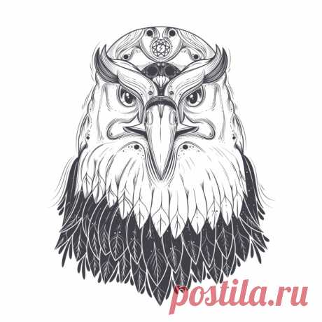 Изолированный фон орла Более миллиона свободных векторов, PSD, фотографии и бесплатные иконки. Эксклюзивные халявы и все графические ресурсы, которые необходимые для ваших проектов
