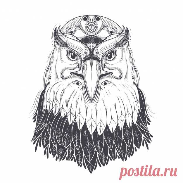 Изолированный фон орла Более миллиона свободных векторов, PSD, фотографии и бесплатные иконки. Эксклюзивные халявы и все графические ресурсы, которые необходимые для ваших проектов