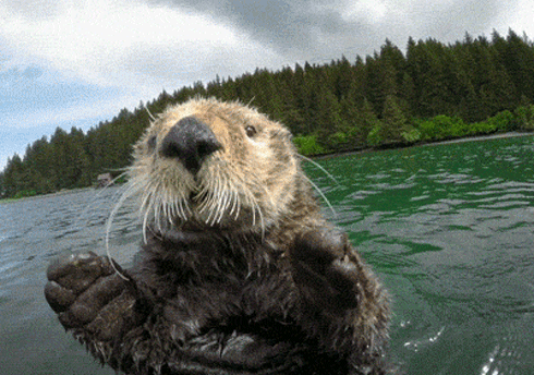 (7) Мой Мир@Mail.Ru