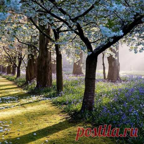 Частный сад Maple Glen garden. Новая Зеландия