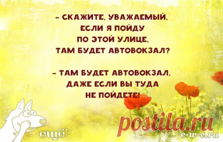 15 незаменимых советов из Одессы-мамы