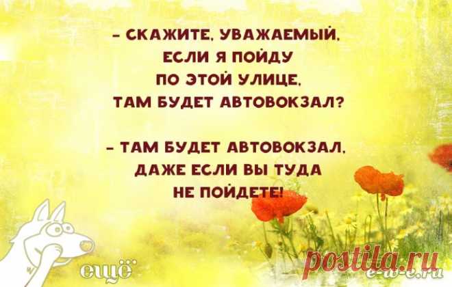 15 незаменимых советов из Одессы-мамы