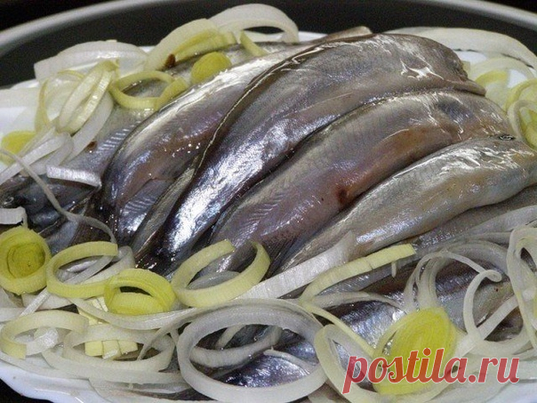 Мойва слабосоленая - очень вкусно!

Мойву промыть и сложить в банку.
Приготовить рассол :
на 1 литр воды -
3 ст.л. соли,
2 ст.л. сахара,
5 лаврушки,
по 1 ч.л. душистого перца горошком, гвоздики и кориандра.
Рассол довести до кипения и 10 минут прокипятить.
Потом остудить и залить рыбку в банках.
Можно добавить 1 ч.л. уксусной эссенции на 1-л банку с рыбой. Тогда посол будет пряным.
Но можно и не добавлять.
Вкусного Вам настроения!