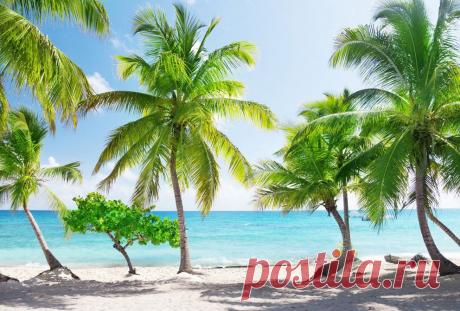 Фотографии и анимации экзотических пляжей