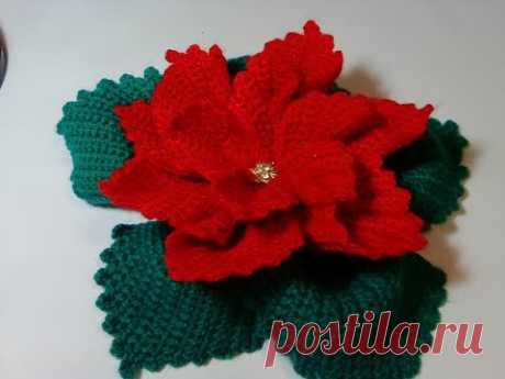 Цветок Рождественская звезда. Flower Christmas star.  Crochet.  Амигуруми. Игрушки крючком.