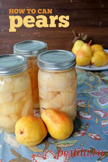 (461) Pinterest: инструмент для поиска и хранения интересных идей