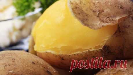 Как приготовить вкусную и здоровую пищу? Вторые блюда | Еда и кулинария