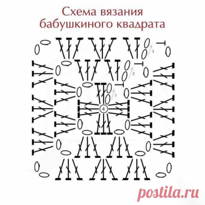 Stylish Winter Top for Women