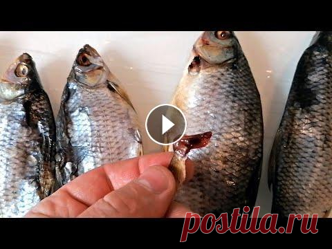 Как правильно солить, сушить, вялить рыбу. Плотва, Сорога, Таранка. Самая вкусная рыба! Как правильно солить, сушить, вялить рыбу. Плотва, Сорога, Таранка. Самая вкусная рыба! Один из самых простых и вкусных способов засолки любой некрупн...